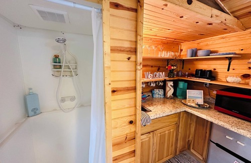 Crystal Beach House | Pet-Friendly Oasis with Ocean Views at The Sand Dollar