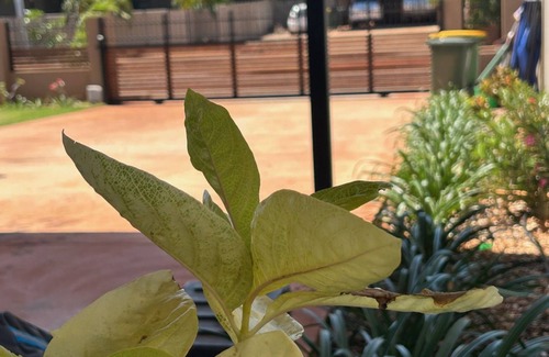 Djugun House | The Sandpiper Escape