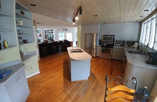 Virginia Beach House | Seahorse Beach Equestrian Property: Experience Baby Horses!