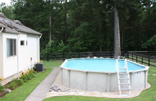 Virginia Beach House | Seahorse Beach Equestrian Property: Experience Baby Horses!