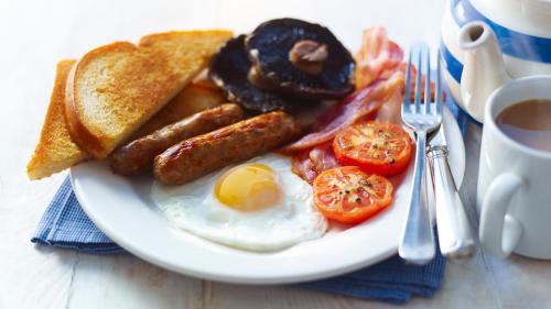 Seaham Hotel | Experience Comfort at The Seaton Lane Inn with Pet-Friendly Amenities