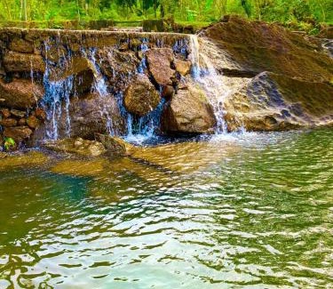 Nelluwa House | Experience Nature at Mist of Sinharaja Eco Lodge