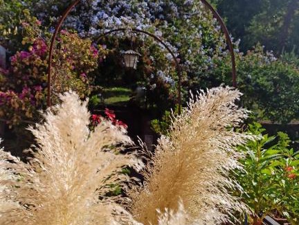Maratea Apartment | Discover The Secret Garden Maratea - Casa di Elena