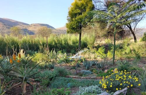 Vaalwater House | Pet-Friendly Comfort at The Seed Pod Guesthouse