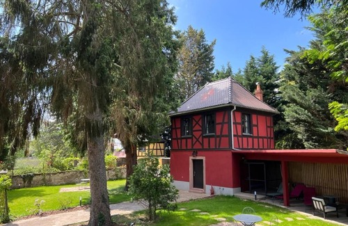 Ostheim Apartment | Sequoia Retreat: A Unique Escape Among Majestic Trees