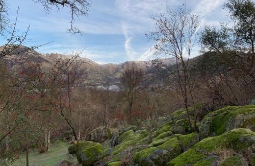 Three Rivers House | Discover The Sequoia Hut - Family Friendly Escape Awaits!