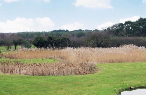 Fritton House | Indulge in Luxury at The Shank - 5-Star Family Retreat