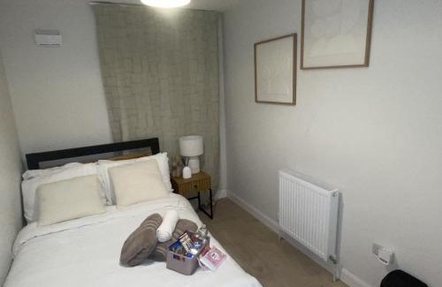Dublin House | The Sheltuh
