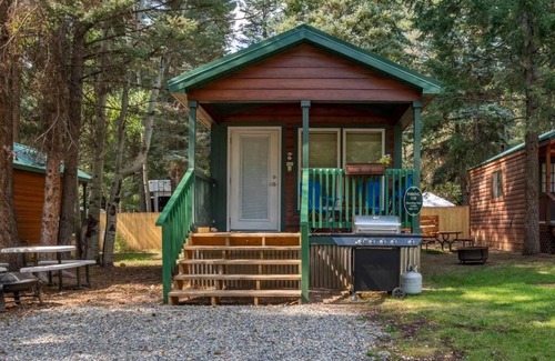 Bayfield House | Family-Friendly Shooting Star Cabin #11 at Blue Spruce