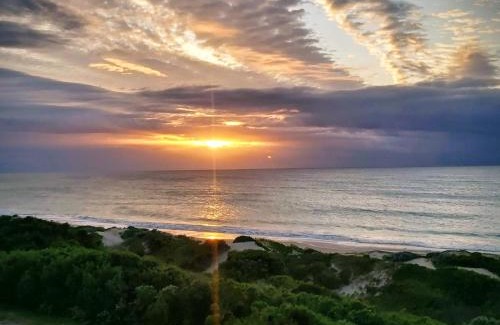 Aston Bay Apartment | Beach-Front Escape at The Sparrow's Nest: 4-Star Comfort