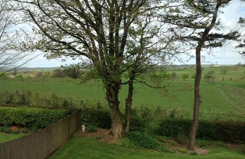 Barnstaple Bed & Breakfast | Eco-Friendly Retreat at The Spinney with Hot Tub & Breakfast