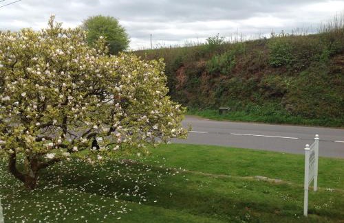 Barnstaple Bed & Breakfast | Eco-Friendly Retreat at The Spinney with Hot Tub & Breakfast