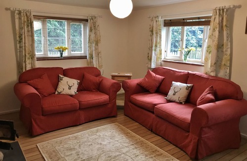 New Forest District Cottage | Idyllic Squirrels Cottage in New Forest National Park