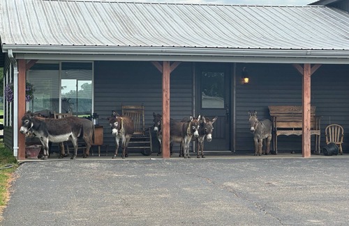 Heltonville House | The Stable- at Donkeytown, barndominium on a 40 acre guest ranch