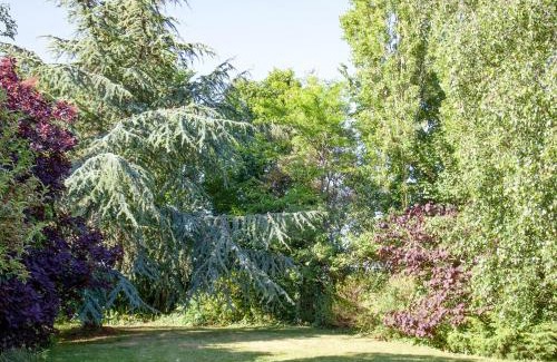 Clyst St Mary House | Discover The Stables: Family-Friendly Retreat with 9/10 Rating