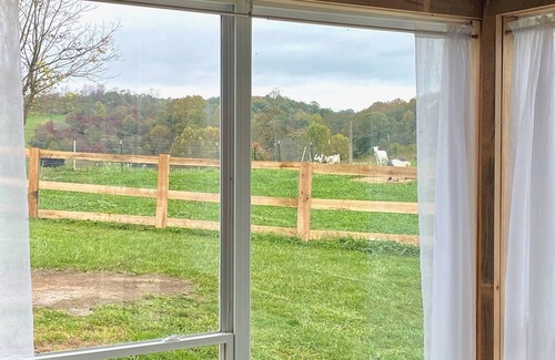 Zaleski Cabin | Serene StarGazer Farm Stay: Fast Internet & Kitchen Access