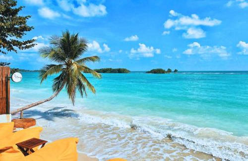 Chaweng City Center Hotel | Beachfront Bliss at The Stay Chaweng Beach Resort - SHA Plus