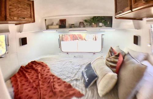 Austin House | Guest Rated 9.7: The Steel Magnolia Airstream Retreat
