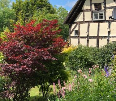Lugwardine House | Discover Oceanfront Bliss at The Steppes Holiday Cottages