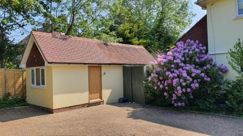 St Leonards-On-Sea House | The Stoat House
