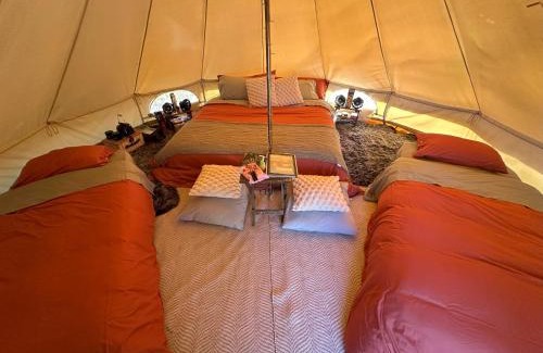 Mumbil Other | The Stockyard Experience