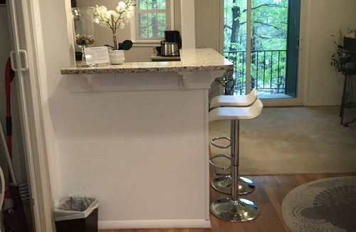 Charlottesville Condo | Tranquil Stone Abode: 2-Bedroom Retreat with Spa Access