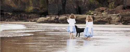 Dunmore East Hotel | Relax at The Strand Inn: Oceanfront Bliss Awaits You