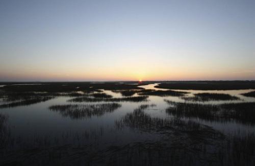 Pelican Bay House | Experience Family-Friendly Fun at The Sunny Side Hotel