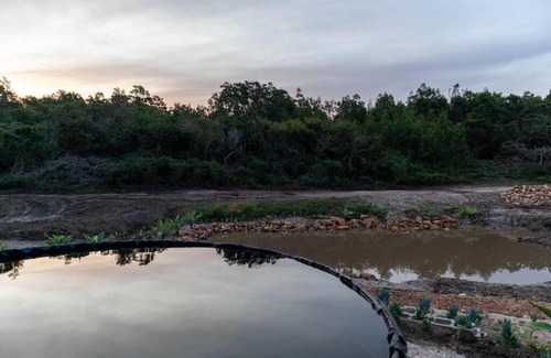 Kouga Villa | Experience The Surfers Bush Cabin: Family-Friendly Retreat