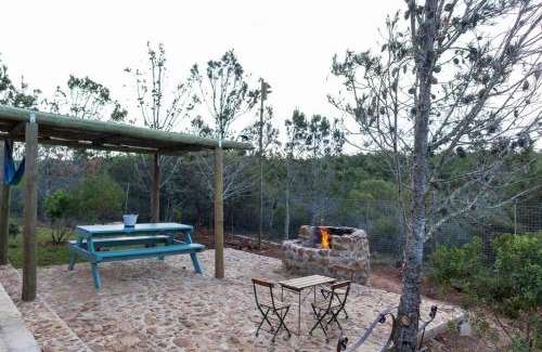 Kouga Villa | Experience The Surfers Bush Cabin: Family-Friendly Retreat
