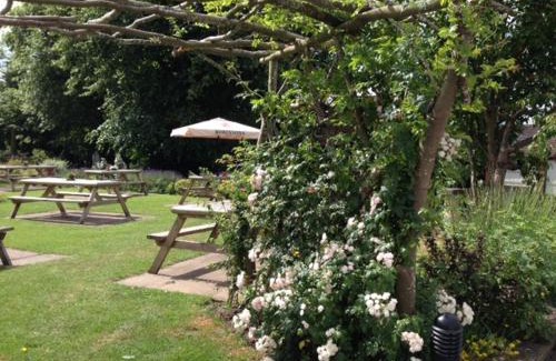 Wybunbury Hotel | Experience The Swan Inn: Family-Friendly & Accessible Stays