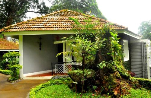 Devikolam Resort | Inviting Getaway at The Tall Trees with Spa & Dining