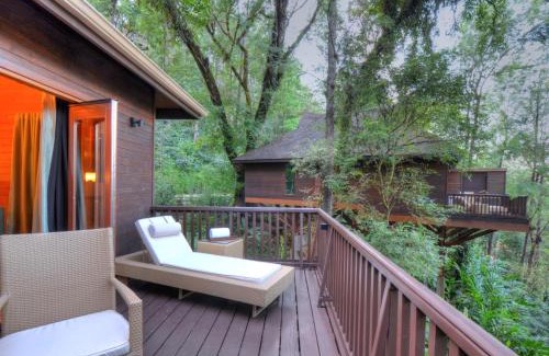 Yavakapadi Village Resort | Indulge at The Tamara Coorg: 5-Star Retreat with Spa & Pool