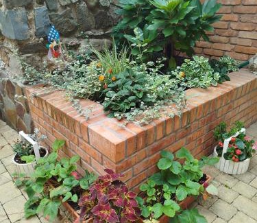 Betliar Apartment | Pet-Friendly Getaway at The Tasty Rooms - Rated 9.3/10