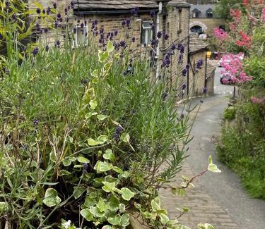 Holmfirth Apartment | Discover The Therapy Rooms Holmfirth - Family & Pet Friendly