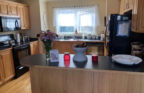 Humber Valley Bed & Breakfast | Pet-Friendly Retreat: The Thoughtful Dog Bed & Breakfast