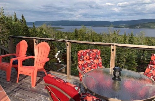 Humber Valley Bed & Breakfast | Pet-Friendly Retreat: The Thoughtful Dog Bed & Breakfast