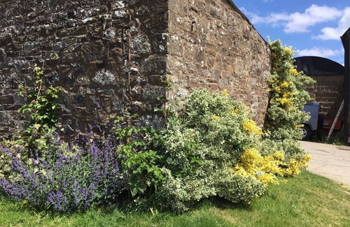 Wall-under-heywood House | Cozy Tiny Barn: Explore Scenic Country Walks Today