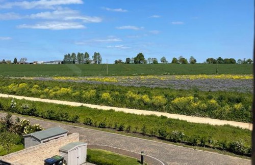 Ely House | Top Floor Retreat: Guest Rated 10/10 with Kitchen Access