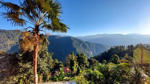 Kumai House | Peaceful Farm Stay with Pet-Friendly Amenities & Breakfast