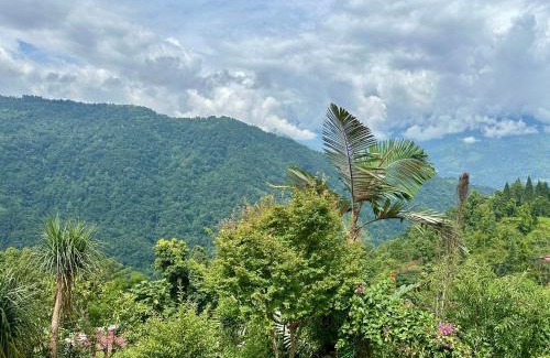 Kumai House | Peaceful Farm Stay with Pet-Friendly Amenities & Breakfast