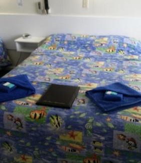 Narooma Hotel | Relax at The Tree Motel with Oceanfront and Pool Access