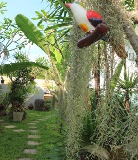 Bophut Hotel | Oceanfront Bliss at The Tree Samui - Rated 9/10 by Guests