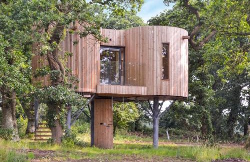 Bankend House | Top-Rated Family Retreat at The Treehouse Caerlaverock