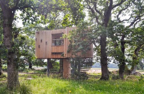 Bankend House | Top-Rated Family Retreat at The Treehouse Caerlaverock