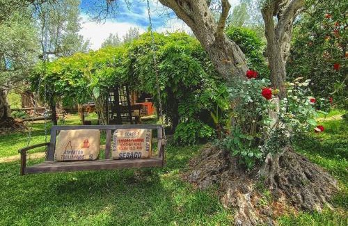 Falerna Bed & Breakfast | Discover The Treehouse: Pet-Friendly Retreat with Pool