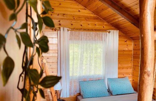 Zitsa Apartment | Discover The Treevilla: Pet-Friendly & Highly Rated Stay