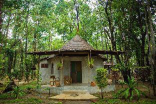 Khong Koi Beach Cabin | Beachfront Bliss at The Tropical Beach Resort