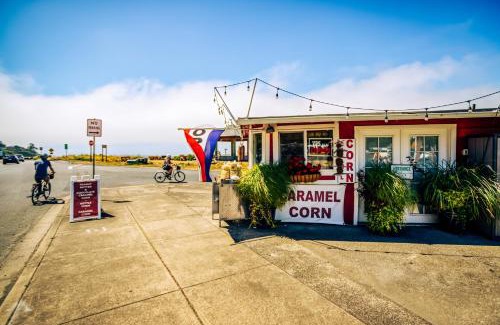 Waldport House | Experience The Turtle's Nest: Pet-Friendly 4-Star Retreat