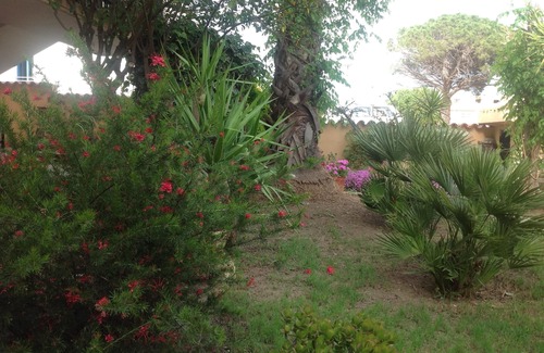 Siniscola House | Discover The Two Palms: Oceanfront Haven with Pool
